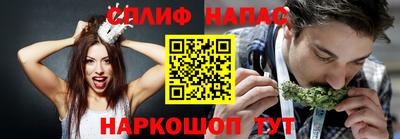 дурь Камышлов
