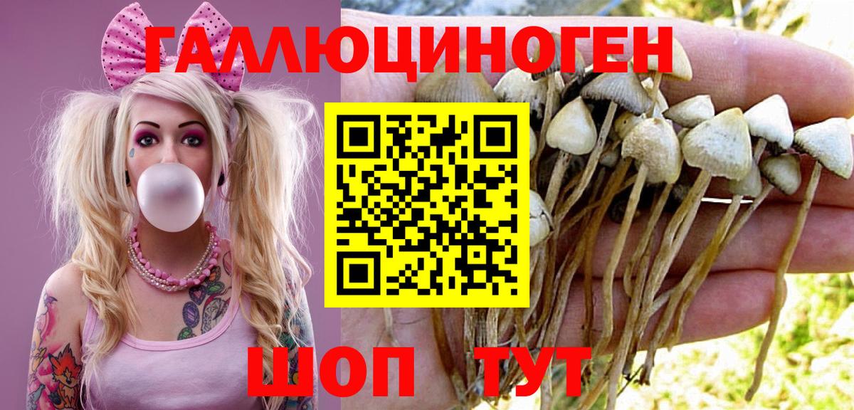 Псилоцибиновые грибы GOLDEN TEACHER Фурманов