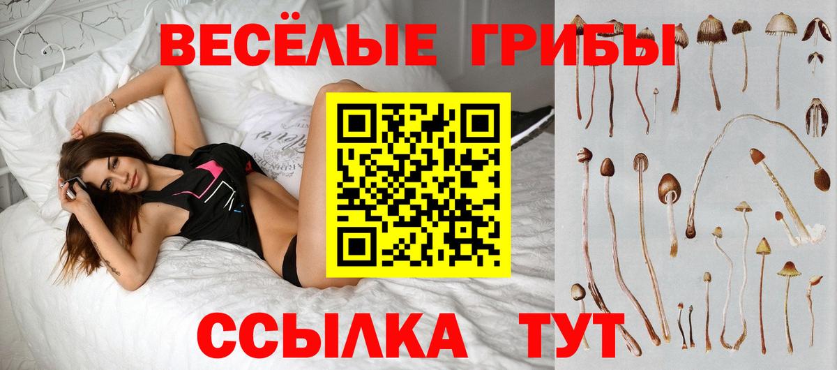 Псилоцибиновые грибы MAGIC MUSHROOMS  Вход с VPN  Фурманов 